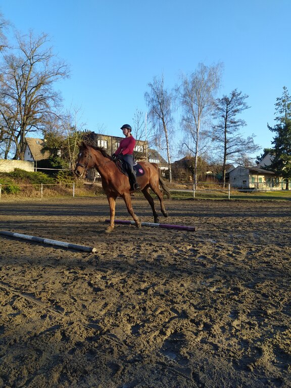 Recenze Craft CORE DRY ACTIVE COMFORT LS W Dámské triko Craft CORE DRY ACTIVE COMFORT LS W - neprofoukne