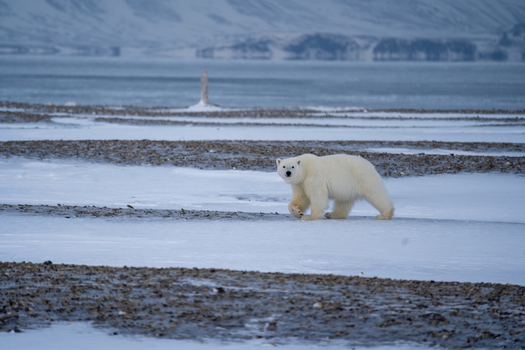 Expedice Špicberky 2019 pod vedením Martina Ksandra z Expedition clubu