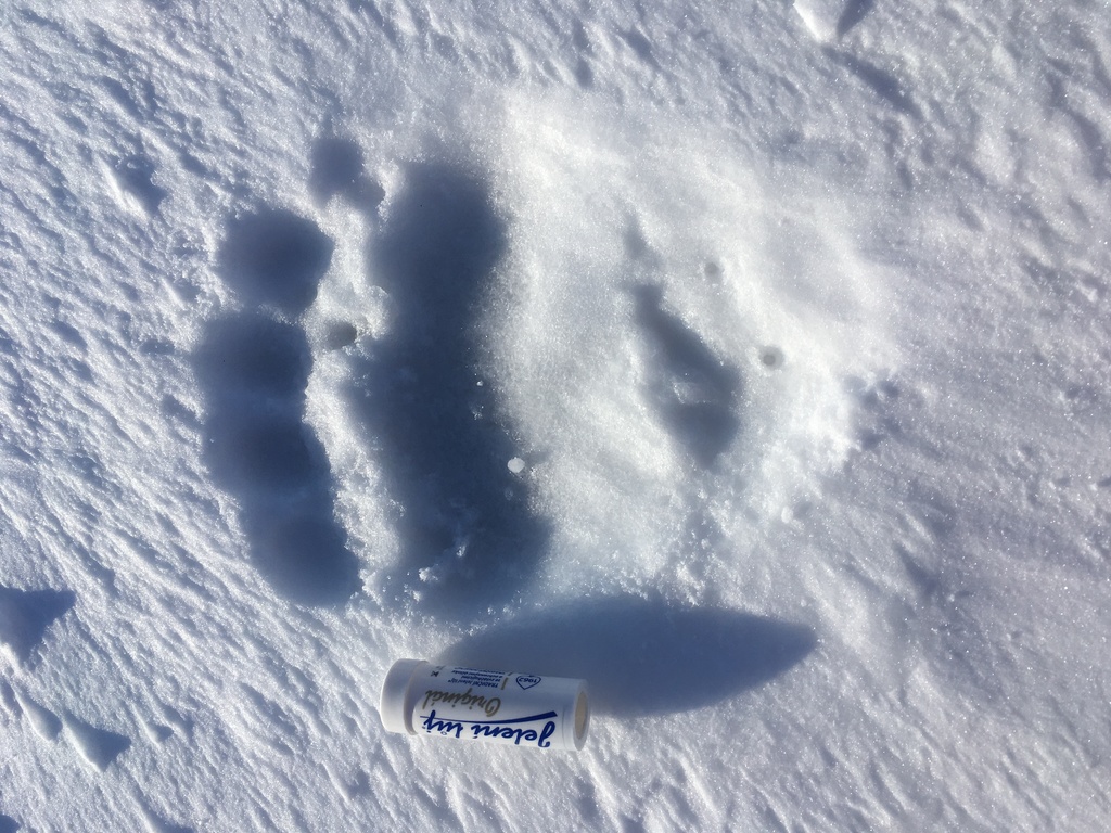 Expedice Špicberky 2019 pod vedením Martina Ksandra z Expedition clubu