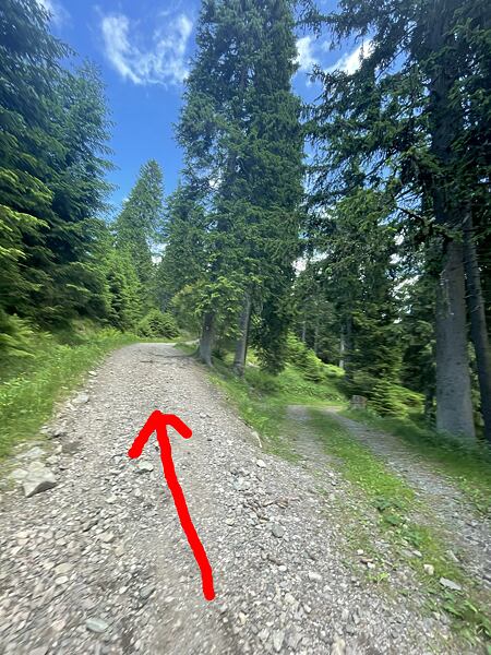 Zde se držte vlevo, pokud chcete zdárně doběhnout na Klínovky a k prameni u útulny