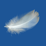 Praní péřových bund Praní péřových produktů