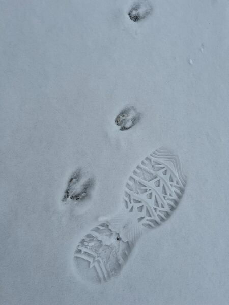 Dámské zimní boty KEEN GRETA BOOT II WP – na sněhu