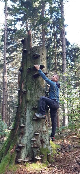 Pánské kalhoty Rafiki Lizard – vhodné zejména na lezení, ale i jiné aktivity