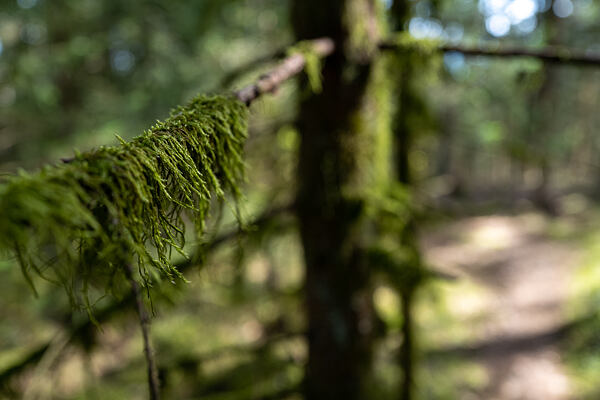 Odkaz na článek o umění chovat se správně v přírodě