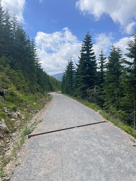 Dřevařská dálnice se line až do horského městečka. Zde se dají využít zbylé síly a cuknout soupeřům