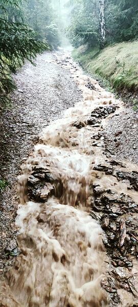 První dny mého putování po Stezce Českem jsem šel doslova „proti proudu“