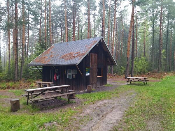 Lesní stezka Labské pískovce: „krátká“ dálková trasa 100 km