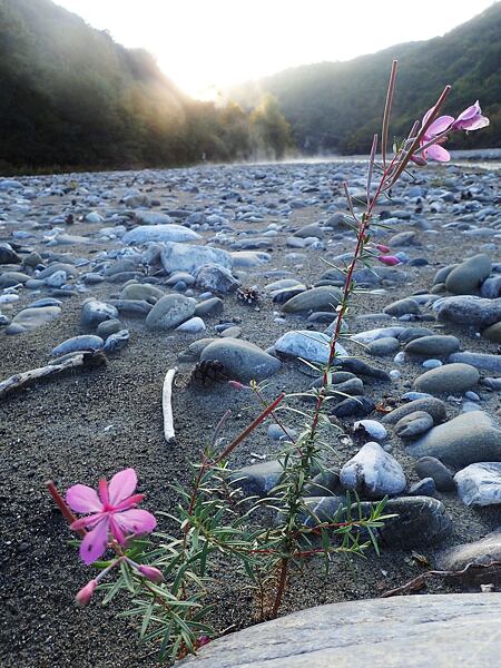 Albánie, Expedice Neuron Atmos 2024 - ranní řečiště, je vidět páraz termálních pramenů