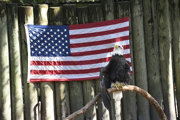 prednaska-na-floridu-za-zviraty