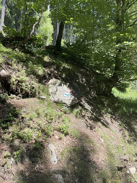 Tady v oboře dbejte turistického značení, kdo přeběhne tuto značku, musí se vrátit !!!