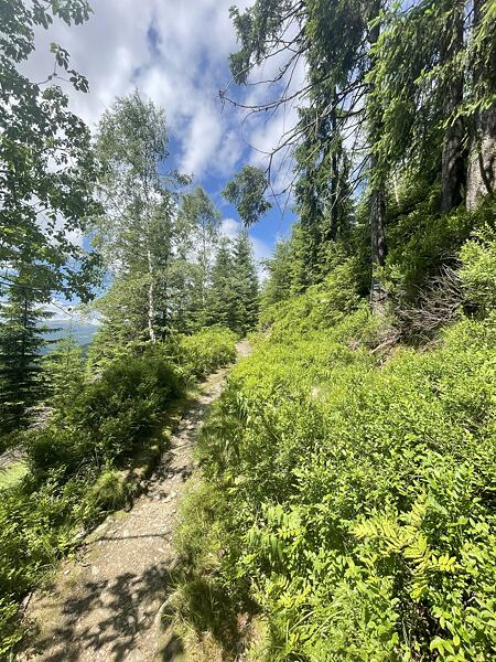 Cesta pod Stohem ve zpětném zrcátku, tohle se bude sbíhat!