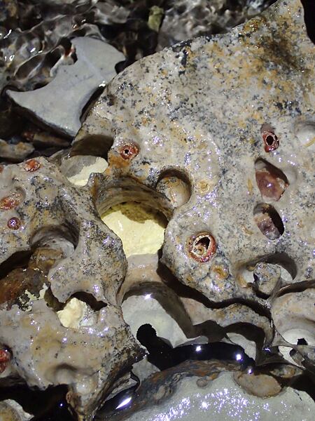 Vápenec modelovaný korozí s usazenou sírou a malými obyvateli