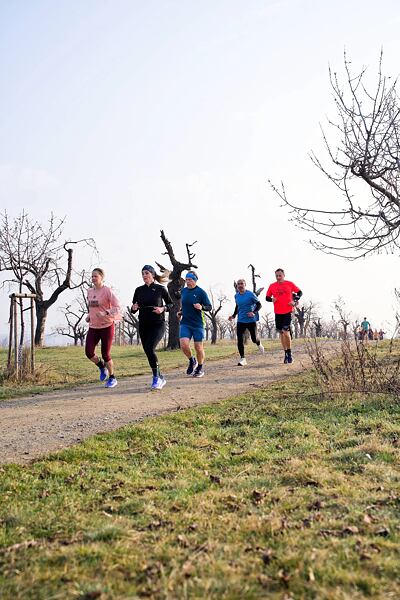 vybeh-a-testovani-bot-inov8