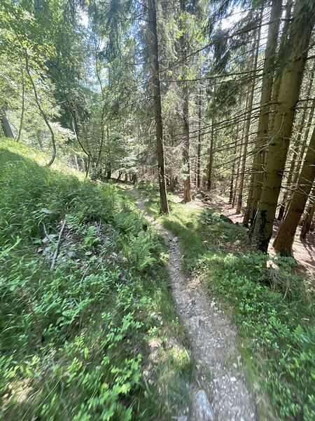 V oboře je malý chyták, asi 200 metrů před chatkami se musí uhnout po pěšině doprava