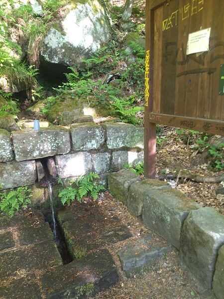 Lesní stezka Labské pískovce: „krátká“ dálková trasa 100 km