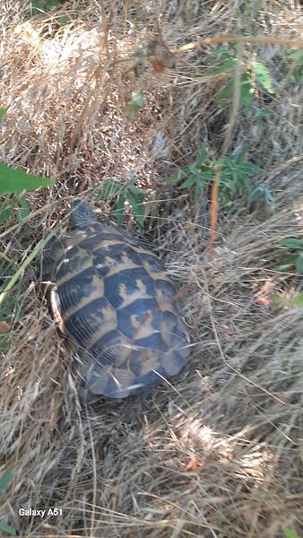 test-bot-garmont-vetta-evo-gtx