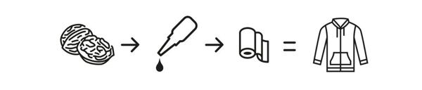 Proces zpracování vlašských ořechů a barvení produktů