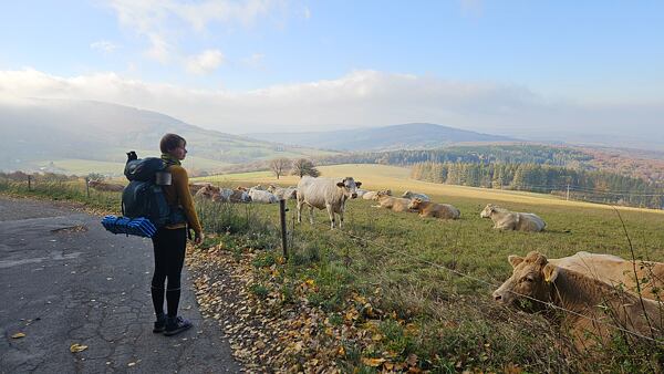 Bílé Karpaty - na slunečné louce jsme si dali snídani