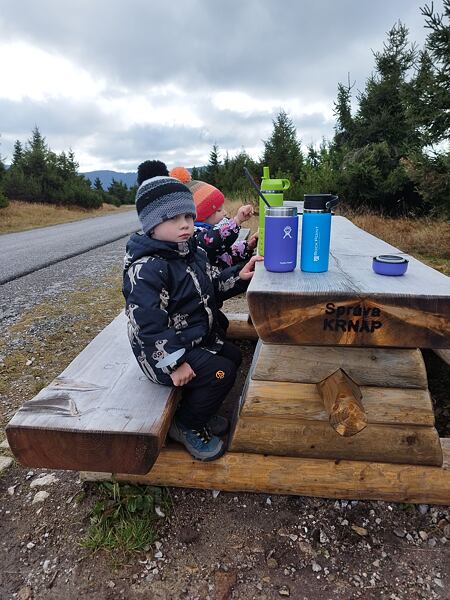 Dětské boty KEEN Targhee IV MID WP Children – kotníková lehká nepromokavá bota, která se hodí pro volný čas, na výlety i do školy