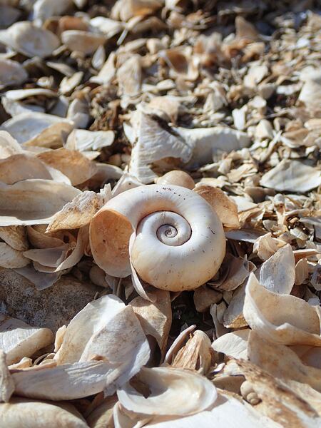 Albánie - Expedice Neuron Atmos: Prespanske jezero u ponoru