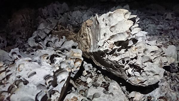 Korozní tvary na dně jeskyně, vymodelované zřejmě skapem kyseliny sírové