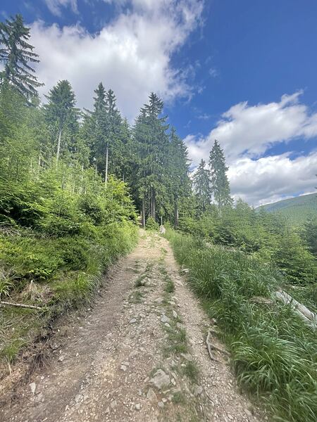 Měkká hliněná cesta se zde začíná zvedat, tak snad nebude na závod pršet