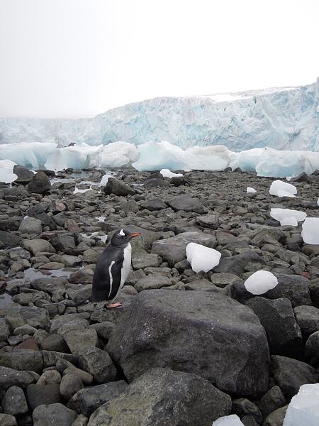 Antarktida - okolí staré polární stanice