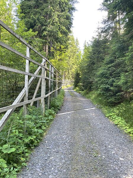 Po vyběhnutí z obory se dáváme do leva podél plotu